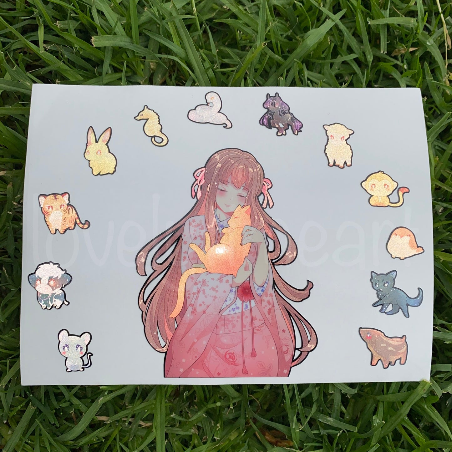 Zodiac and Flower PEEKER
