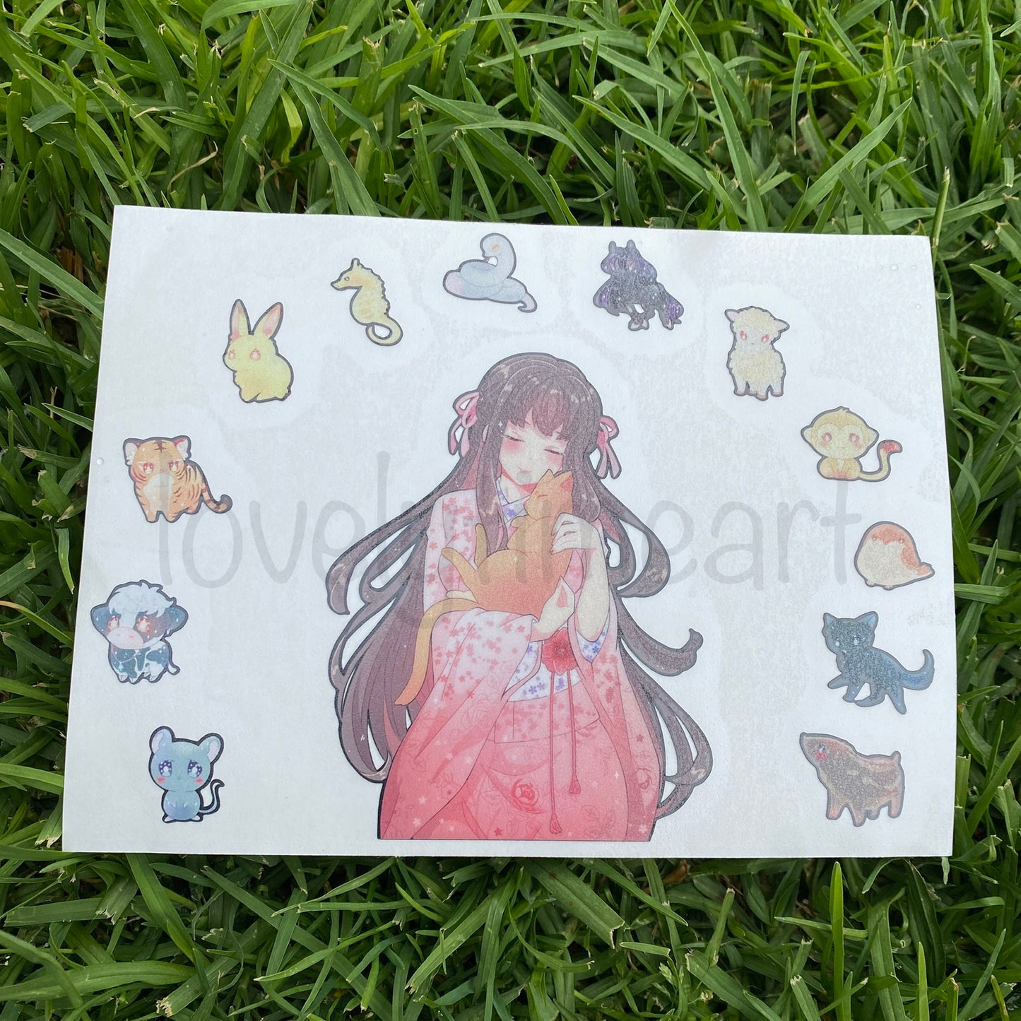 Zodiac and Flower PEEKER