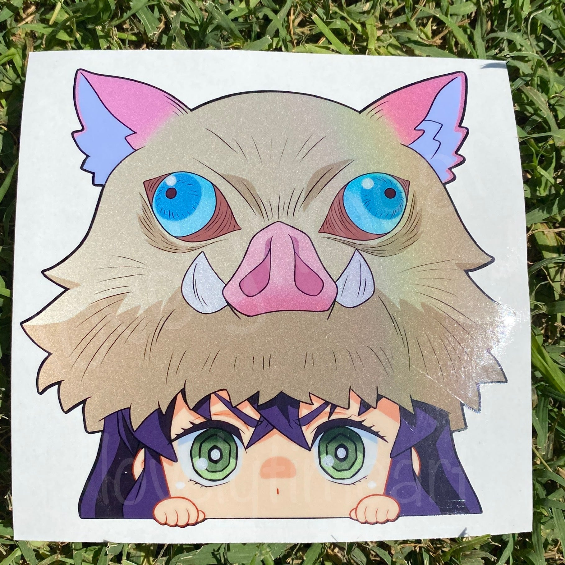 boar boy peeker
